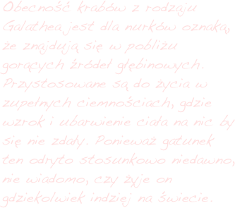 Obecność krabów z rodzaju Galathea jest dla nurków oznaką, że znajdują się w pobliżu gorących źródeł głębinowych. Przystosowane są do życia w zupełnych ciemnościach, gdzie wzrok i ubarwienie ciała na nic by się nie zdały. Ponieważ gatunek ten odryto stosunkowo niedawno, nie wiadomo, czy żyje on gdziekolwiek indziej na świecie. 