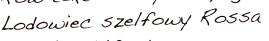 shapeimage_2_link_3