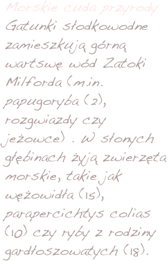 Morskie cuda przyrody 
Gatunki słodkowodne zamieszkują górną wartswę wód Zatoki Milforda (m.in. papugoryba (2), rozgwiazdy czy jeżowce) . W słonych głębinach żyją zwierzęta morskie, takie jak wężowidła (15), parapercichtys colias (10) czy ryby z rodziny gardłoszowatych (18). 